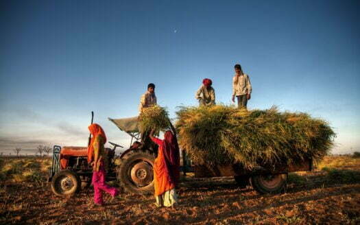 India Family Faeming Harvesting Crops
